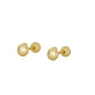 PEN2521